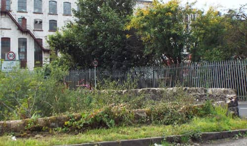 Neilston Mill Weans in 2016